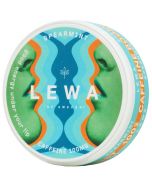 Lewa Spearmint 100mg energy pouch 18 påsar